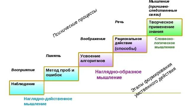 Теория поэтапного формирования п я гальперина. Теория поэтапного развития умственных действий п.я.Гальперина. Психологические теории интеллекта п.я Гальперин. Теория Гальперина о поэтапном формировании умственных действий. Умственные действия в процессе обучения.