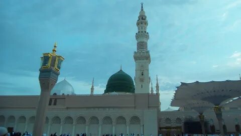 Madina записи