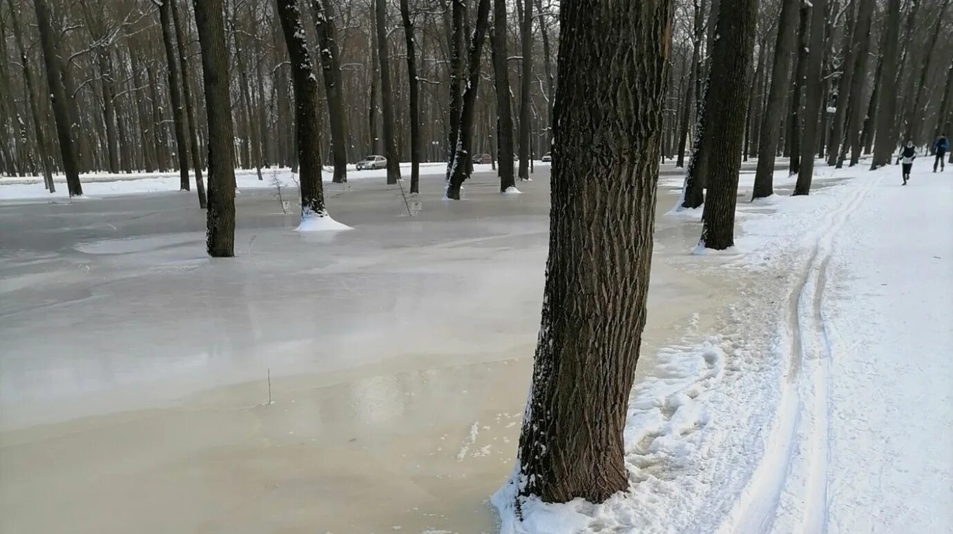 Западная Поляна Пенза. Купель Олимпийская аллея Пенза. Холодная вода. Пенза прорыв трубы на Западной. Пенза без воды