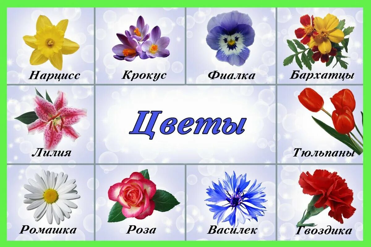 Как зовут цветок