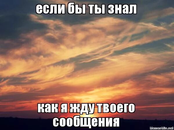Сообщений знала. Смешные подкаты девушке. Смешные опечатки т9 в смс. Жду твоего сообщения. Сообщений знала.