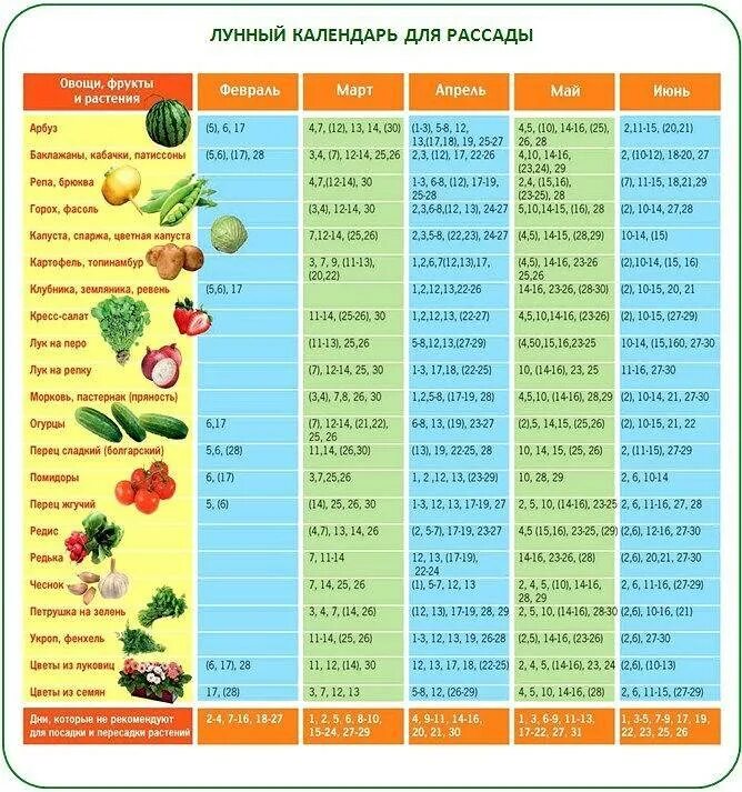 Посадка овощей в апреле. Сроки высадки семян томатов на рассаду. Когда садить семена на рассаду таблица. Какое время нужно сажать семена для рассады. Какого числа лучше сеять помидоры на рассаду.