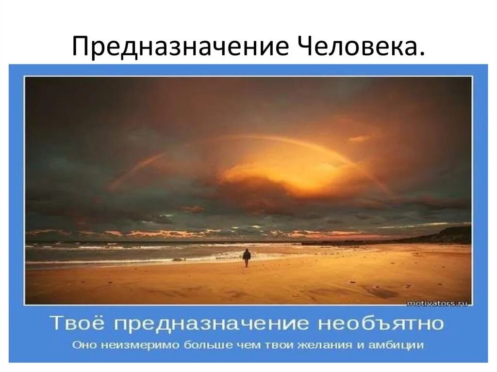 Жизненное предназначение по японски. Предназначение. Предназначение человека. Предназначение человека в жизни. Найди свое призвание цитаты.