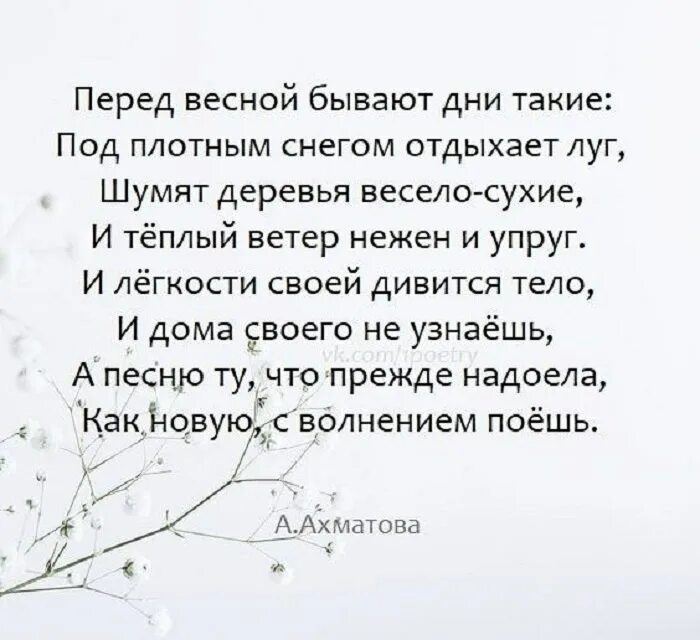 Перед весной бывают дни такие. Стихотворение Ахматовой перед весной бывают дни такие. Стихотворение перед весной бывают дни. Перед весной бывают такие. Размер стихотворения перед весной бывают