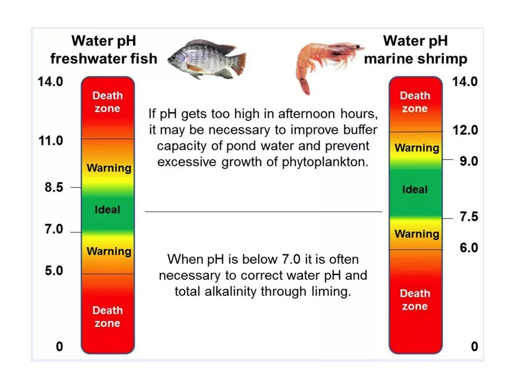 PH воды для пресноводной рыбы. Кислотность воды 9 PH. Показатели PH воды. PH В аквариуме. Кислотность в аквариуме