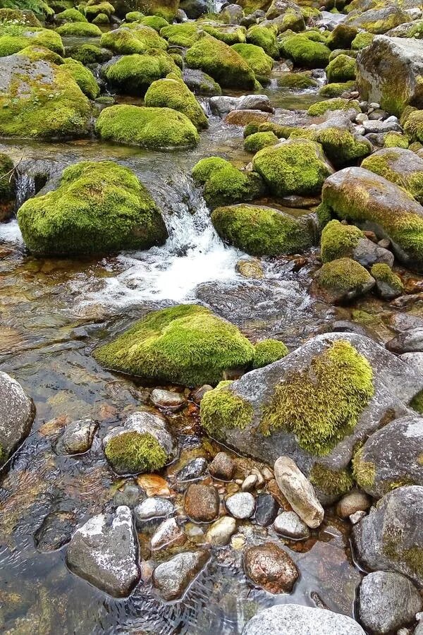 Stone over. Вода Текущая по камням. Вода течет по камням. Камни в воде заросли. Мокрый камень с мхом.