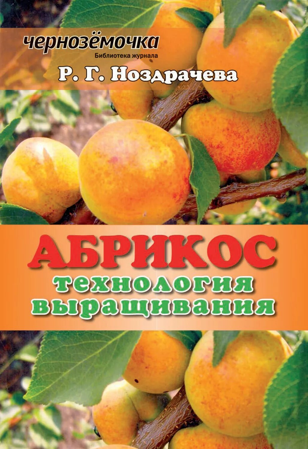 Книга и абрикос. Книга и абрикос. Абрикос книги. Абрикос книги. Самый большой абрикос книга.