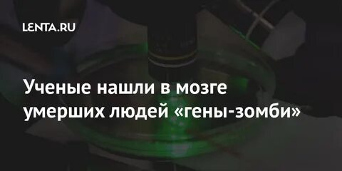 Мозги умершего человека