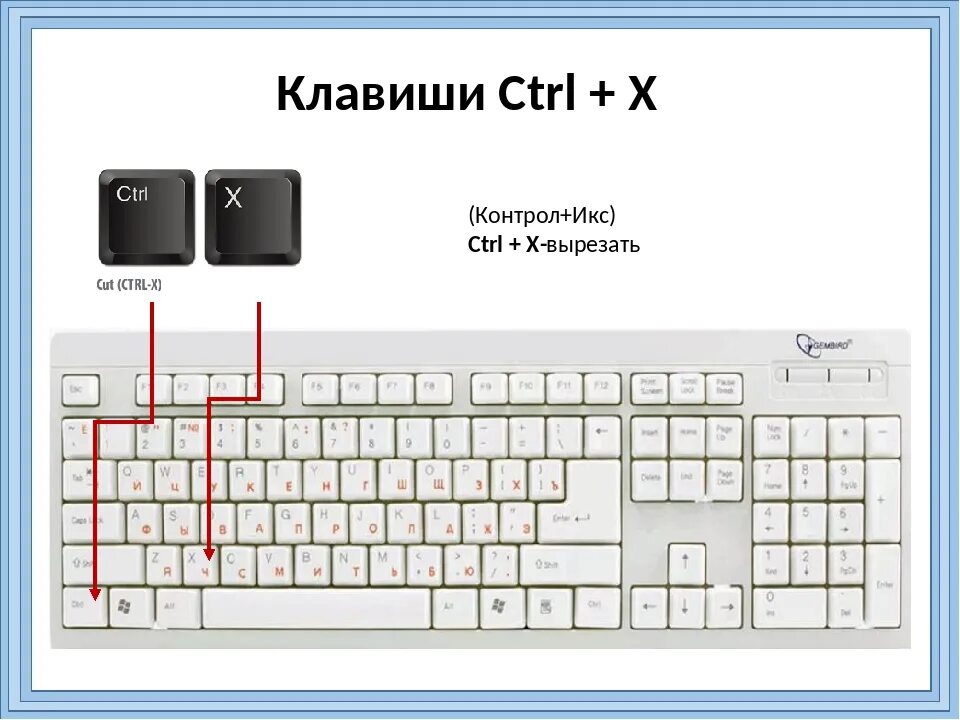 Кнопка Ctrl на клавиатуре. Клавиша Ctrl на клавиатуре. Контр клавиша на клавиатуре. Контрол ц на клавиатуре. Control клавиша