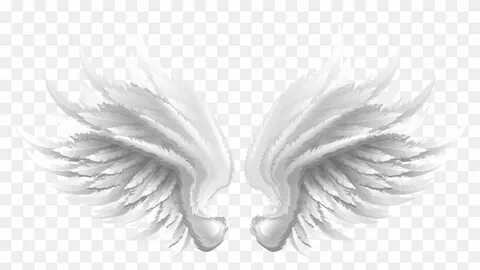 Wing png