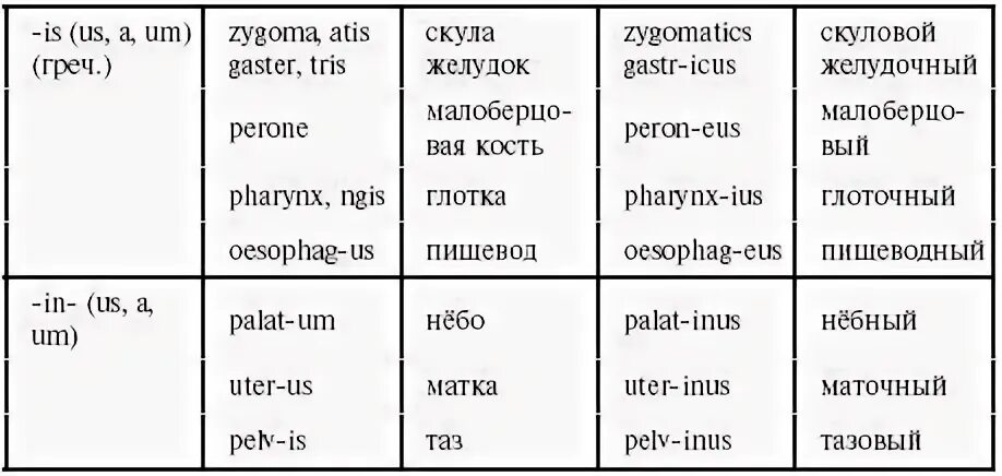 Латинские суффиксы