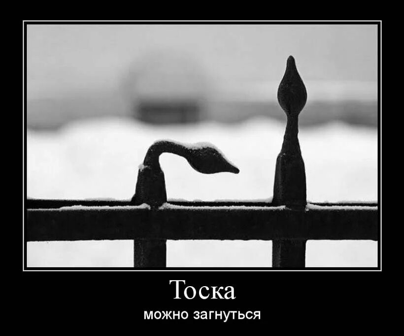 Тоска тоскливый тоскливо. Тоска демотиватор. Тоска смешно. Печаль демотиватор. Шутки про тоску.