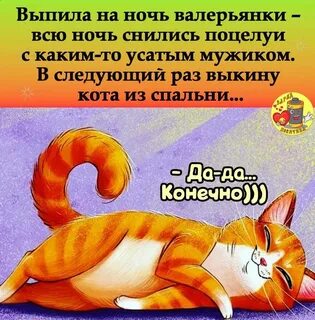 Чтоб я не смог напиться наповал