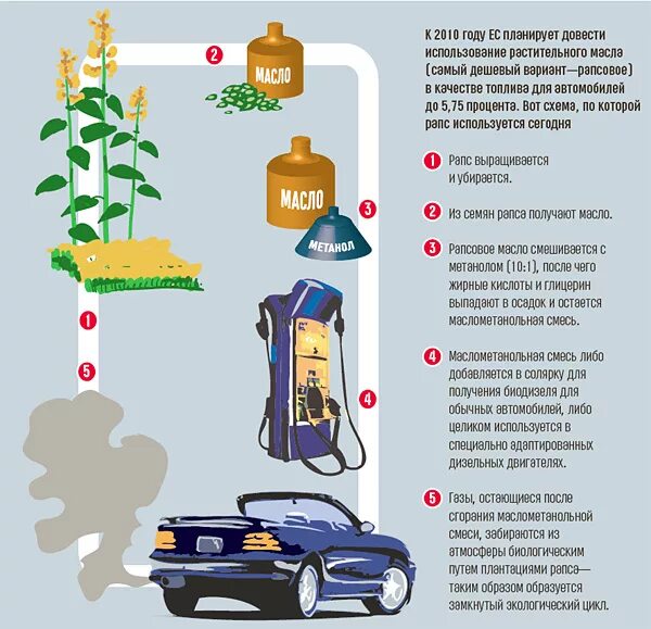 Топливо для 1 автомобиля. Альтернативные виды топлива для автомобилей. Альтернативные виды топлива биотопливо. Биотопливо для автомобилей. Источники топлива.