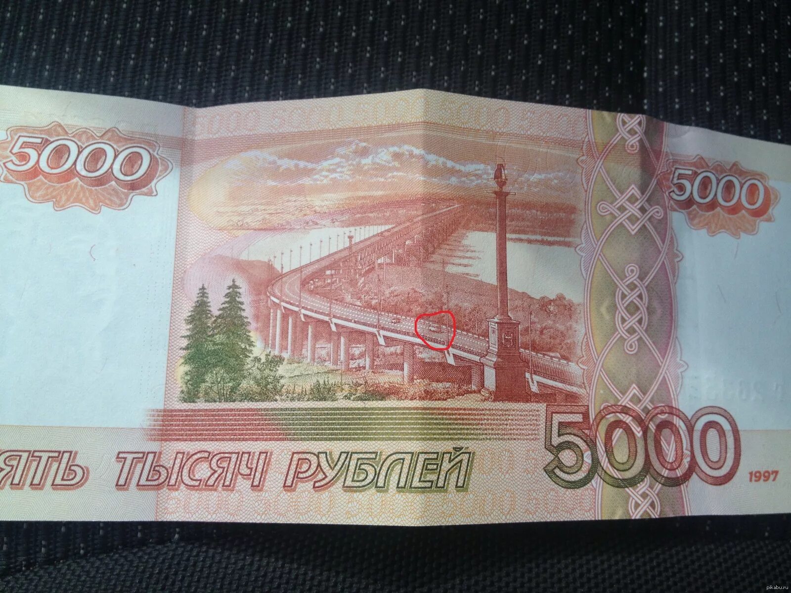 Животные на 5000 купюре. 5000 Рублей звери на купюре. Зверюшки на 5000 купюре. Тигры на 5000 купюре. 5к купюра