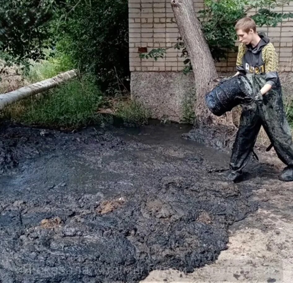 Житель троицка похитил дочь нашли. Человеческие экскременты. Гигантские чистки.