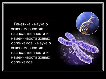 Проект моя наследственность 6 класс примеры