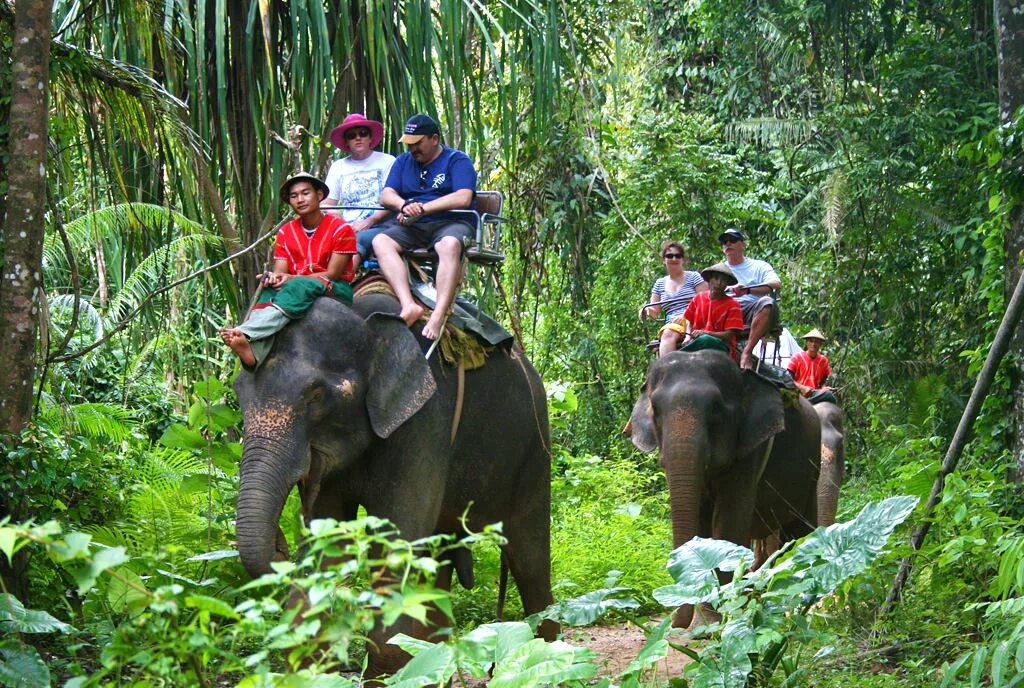 Као лак сафари. Као лак джунгли. Safari Elephant Trek Самуи. Сафари парк Бангкок.