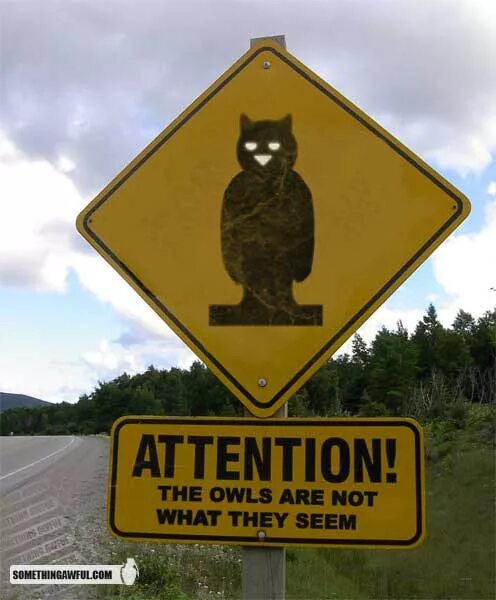 The Owls are not what they seem. The Owls are not what they seem Twin Peaks. Совы не то чем они кажутся Твин пикс. Owls are not what they seem надпись.