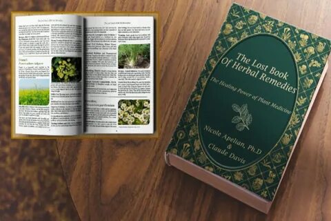 The lost book