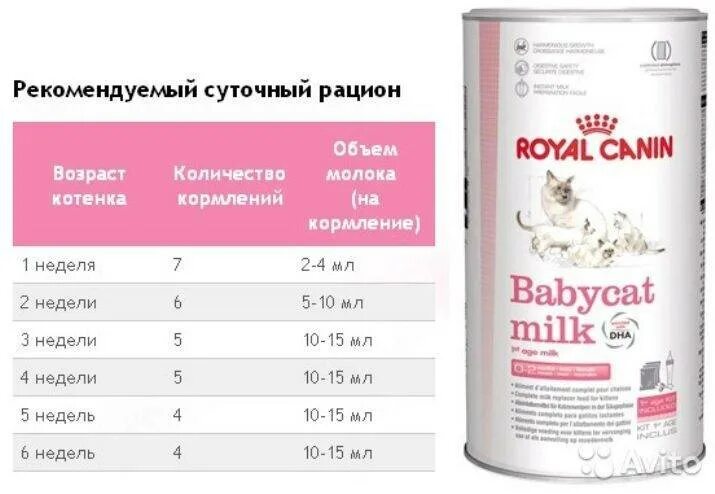 Сколько надо кормить котенка. Роял Канин для новорожденных котят. Royal Canin смесь для новорожденных котят. Смесь для выкармливания котят Роял Канин. Схема кормления котят смесью.