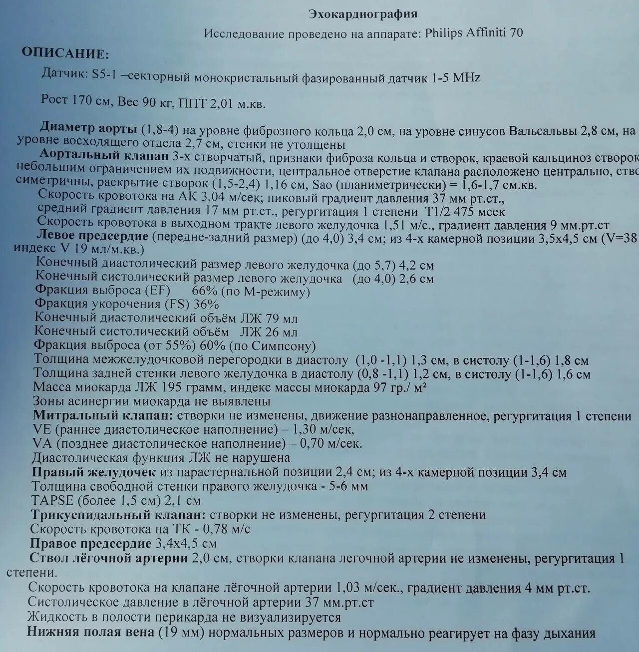 Как проходят эхо. Эхокардиография протокол УЗИ. Протокол УЗИ Эхо-кг сердца. Протокол обследования УЗИ сердца. ЭХОКГ протокол УЗИ сердца новорожденного.