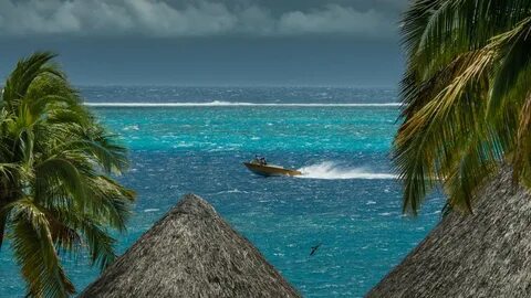 Speed beach