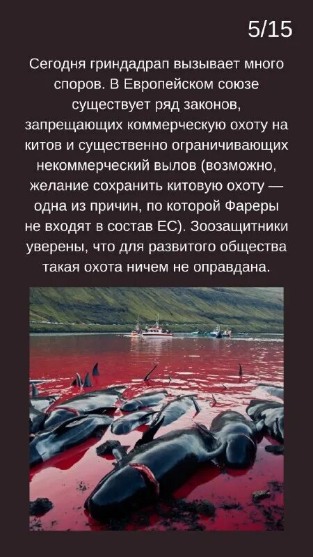 треш истории из жизни