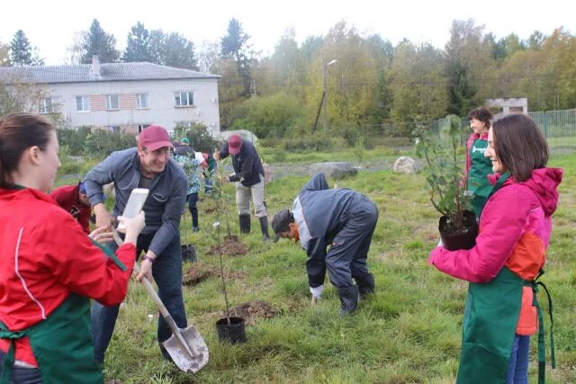 Ладвинский леспромхоз. Поселок ладва ветка. Леспромхоз эмблема. Ладвинский леспромхоз. Ооо "ладвинский леспромхоз".
