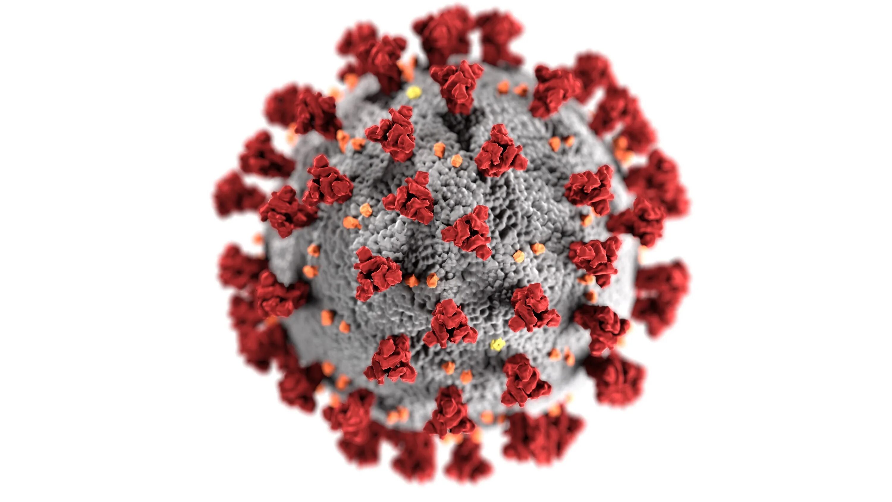 Вирус Covid-19. Вирус ковид 19. Covid-19. Омикрон-штамм SARS-cov-2. P virus