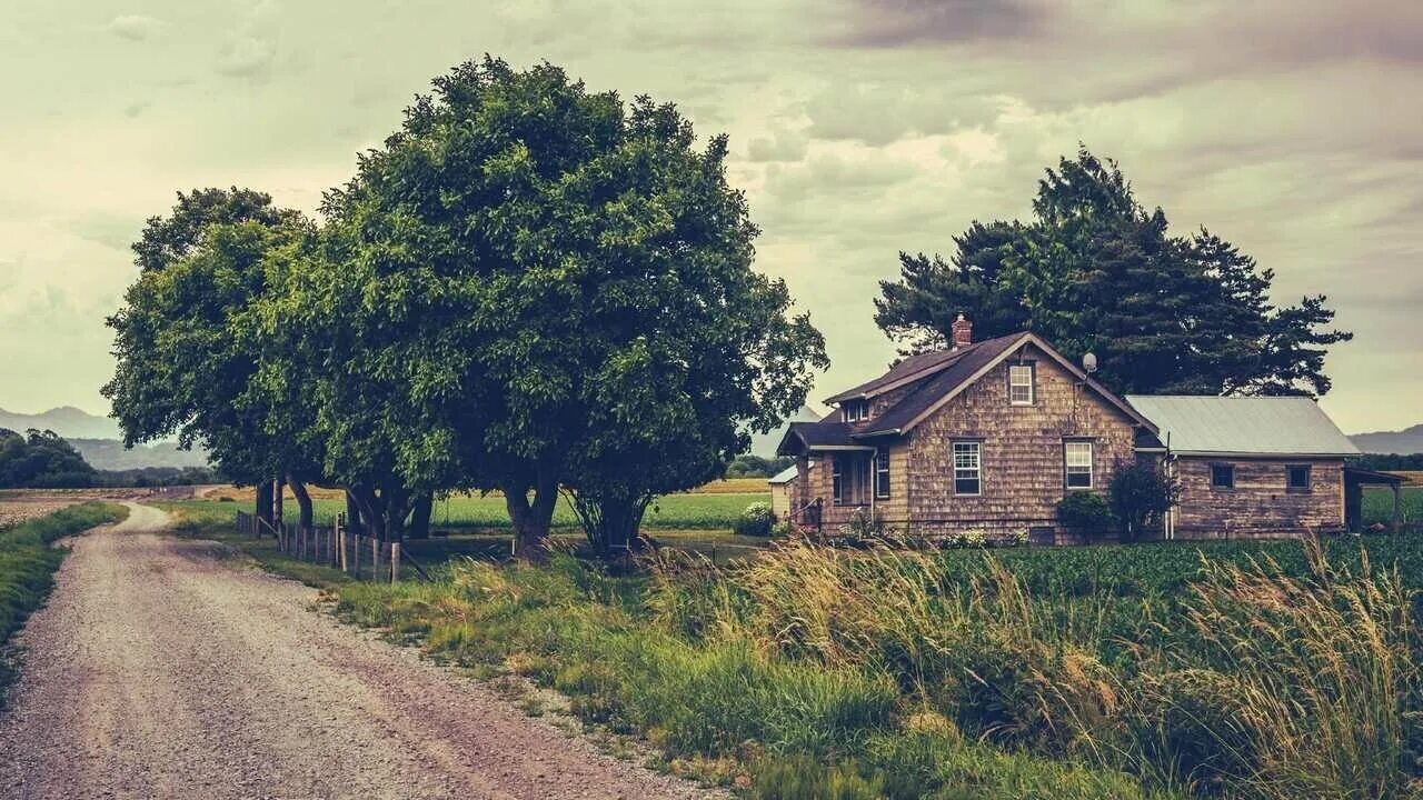 домик без стены на обочине. заброшенный дом в деревне ущевицы. золотой шар пикник на обочине. стругацкие пикник на обочине. домик без стены на обочине.