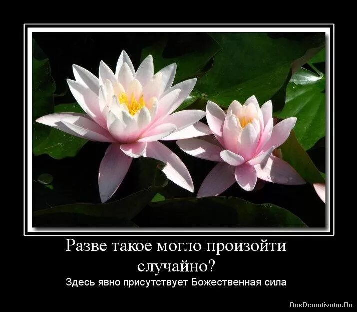 ничего не бывает случайно цитаты. неслучайно в жизни происходят такие ситуации. произойти не случайно. не случайно в жизни происходят ситуации. случайная встреча цитаты.
