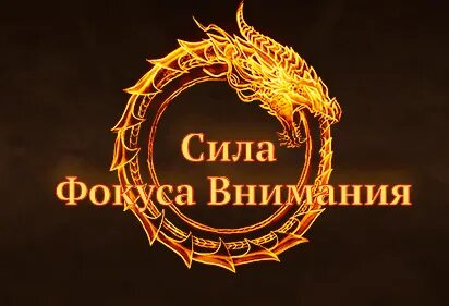 Бауман сила фокуса внимания