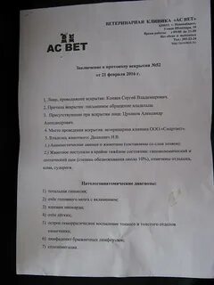 Протокол вскрытия свиньи