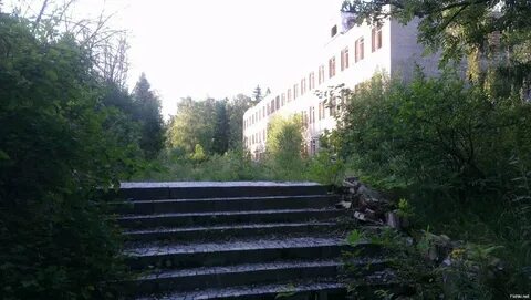Солнечногорск 30