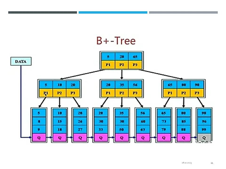 Ветвь окончание. B-дерево. B-Tree индекс. B дерево базы данных. Структура b+-дерева.