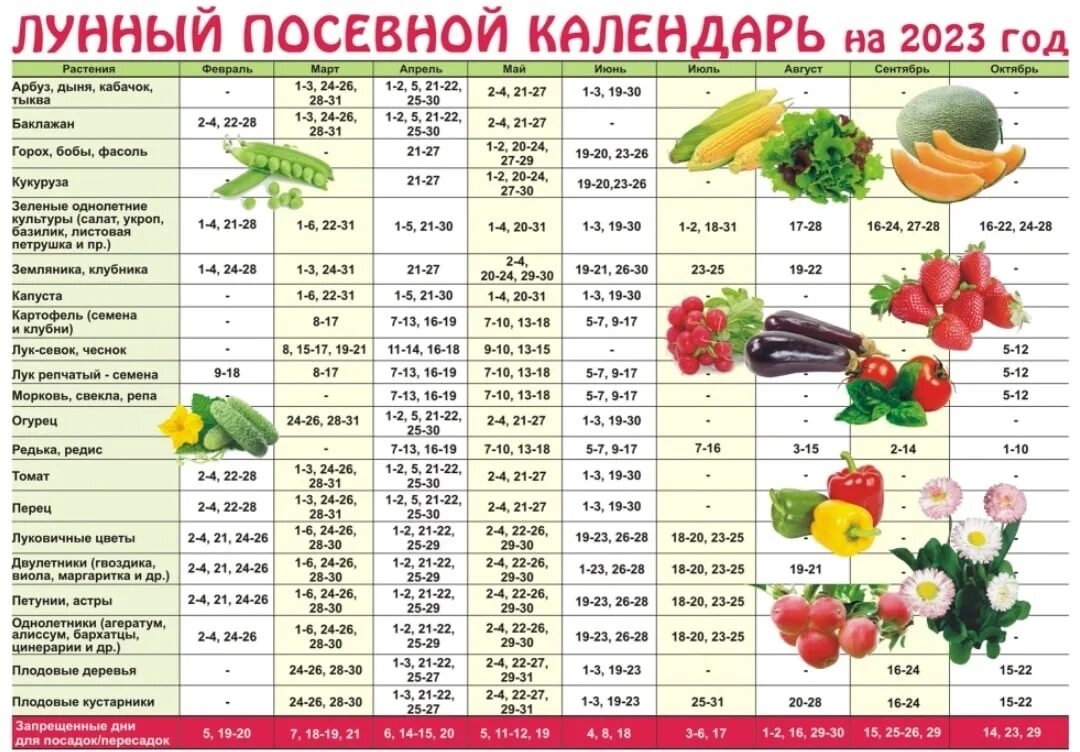 Луны огородника на март. Календарь посева рассады на 2023. Календарь по посадке рассады 2023. Календарь посадки овощей. Таблица посевного календар.