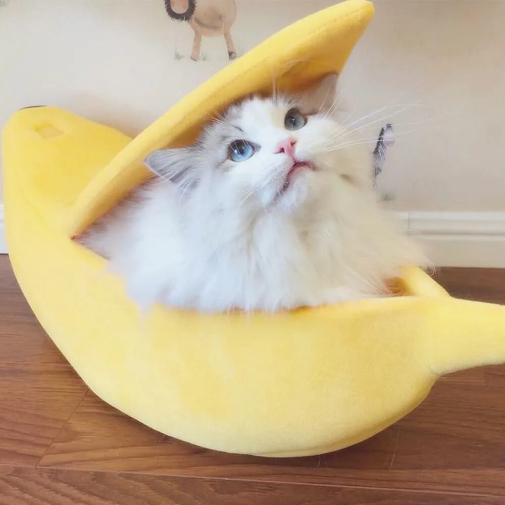 Лежанка банан для кошек. Бананы лежанка для котов. Домик банан для кошки. Лежак для кошки в виде банана.