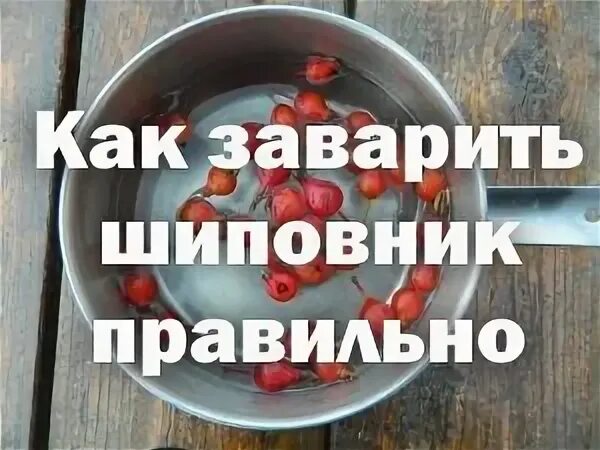 Шиповник заваренный в термосе польза. Как заваривать шиповник. Как правильно заваривать шиповник. Шиповник в термосе. Как заварить шиповник сушеный правильно в термосе.