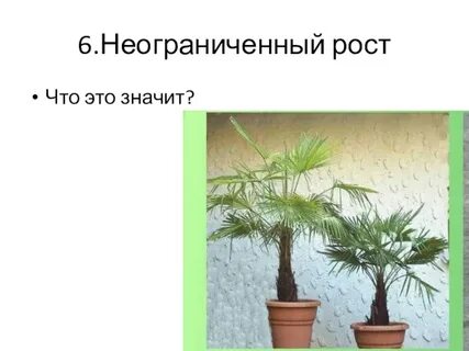 Неограниченный рост