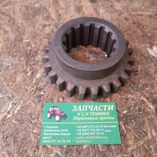 Шестерня юмз