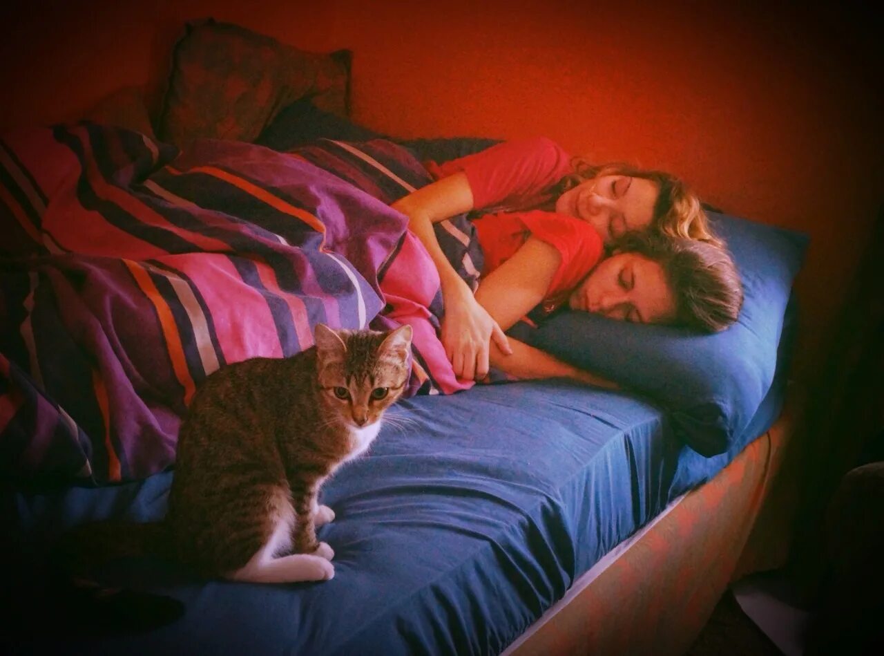 2 подруги спящие. Девушки спят вместе. Две девушки спят в обнимку. Подружки в постели.