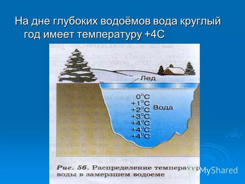 4 температура воды. Температура в водоемах. Температура воды в водоемах. Температура на дне водоема зимой. Какая температура воды зимой.