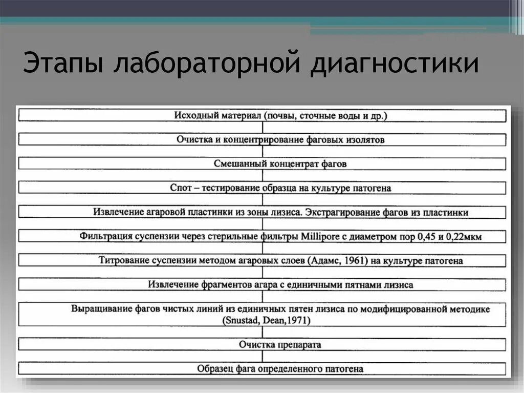 Этапы практического анализа. Этапы лабораторной диагностики. Этапы лабораторной диагности. Этапы лабораторного анализа. Постаналитический этап лабораторной диагностики.