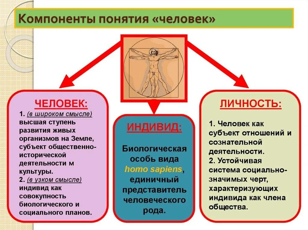 В чем заключается решимость человека определение. Понятие человек индивид личность. Взаимосвязь понятий человек индивид личность индивидуальность. Раскройте понятие индивид индивидуальность личность. Человек индивид чилночть.