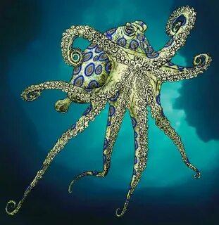 Octopus перевод