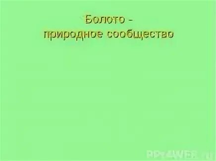 Болото естественное или пресное