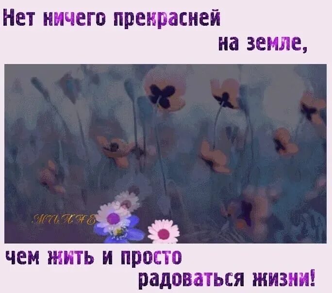 Нет ничего прекрасней на земле чем. Радоваться надо просто что живёшь. Нет ничего прекрасней на земле чем жить и радоваться жизни. Просто жить и радоваться жизни хочется. И ничего не надо просто будь