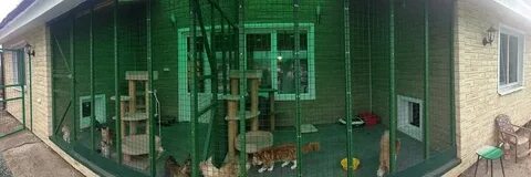 Передержка краснодар