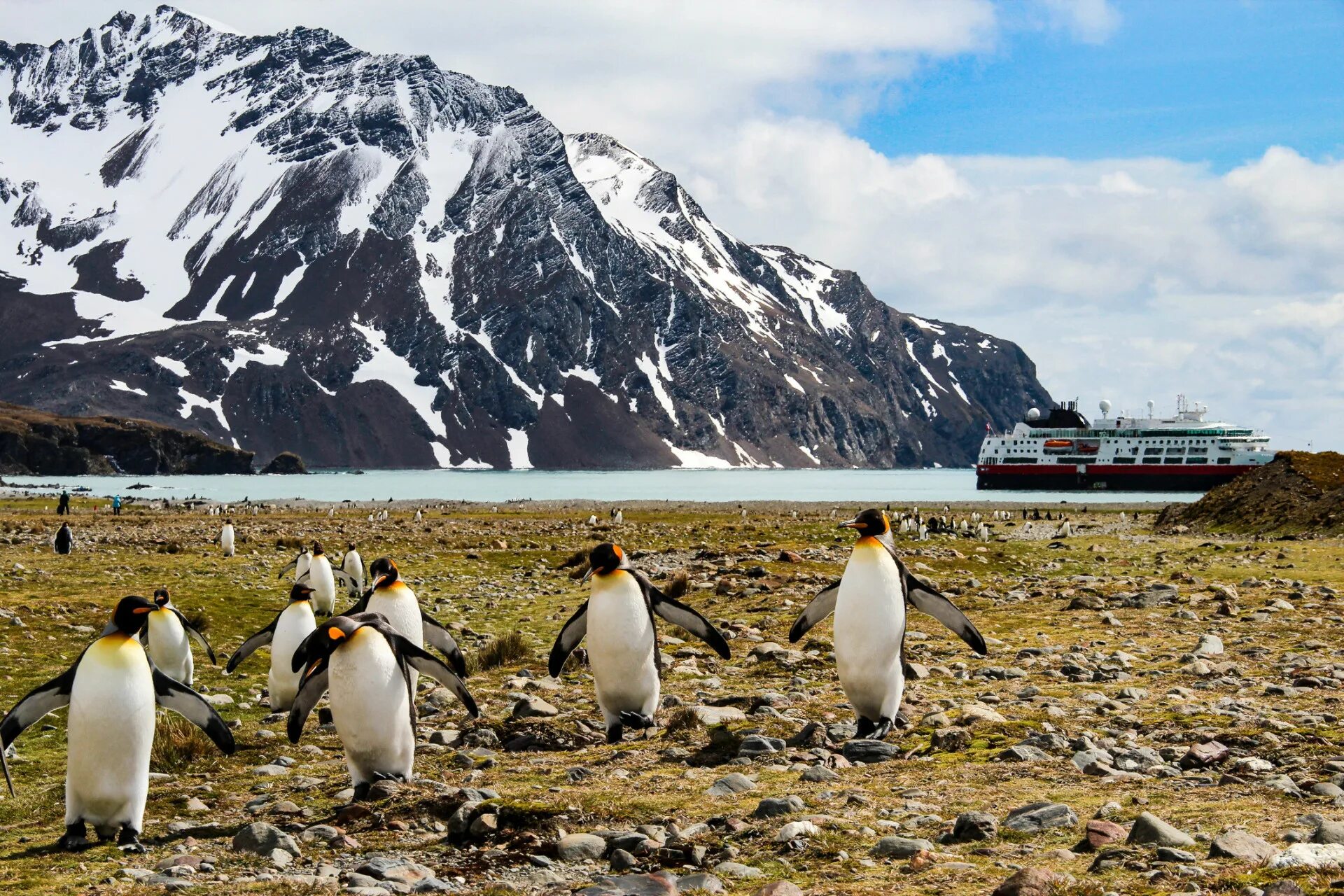 Ушуайя антарктида. Аргентина пингвины Ушуайя. Ушуайя остров пингвинов. Остров Мартильо Аргентина.